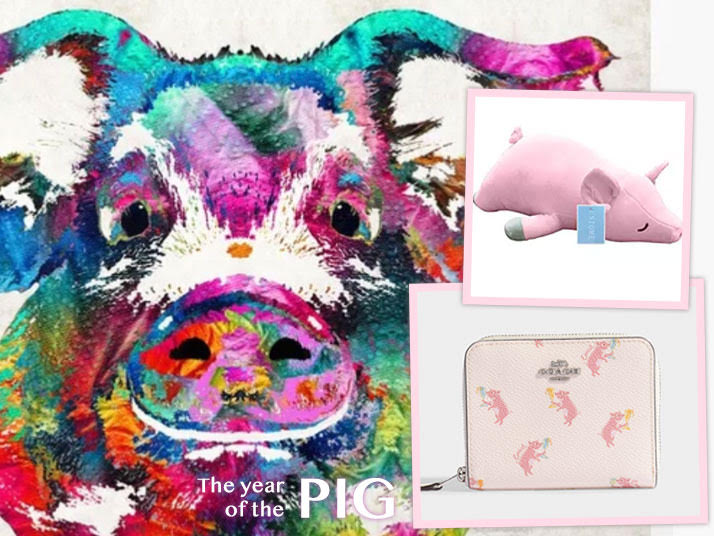 2019 Year of the Pig-Inspired Items