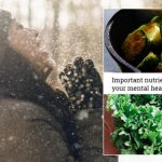 Important Nutrients That Can Support Your Mental Health This Winter