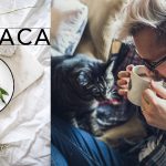 Benefits of Maca Energy Coffee for Men