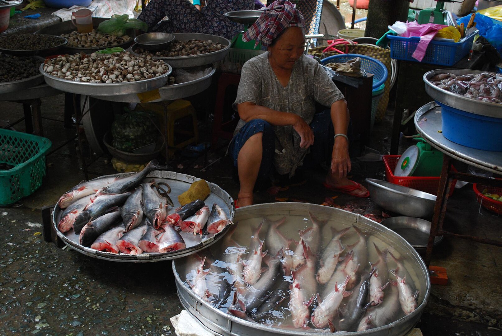 Image Credit: Alpha - Flickr: Basa fish - Vinh Long Market, CC BY-SA 2.0, 