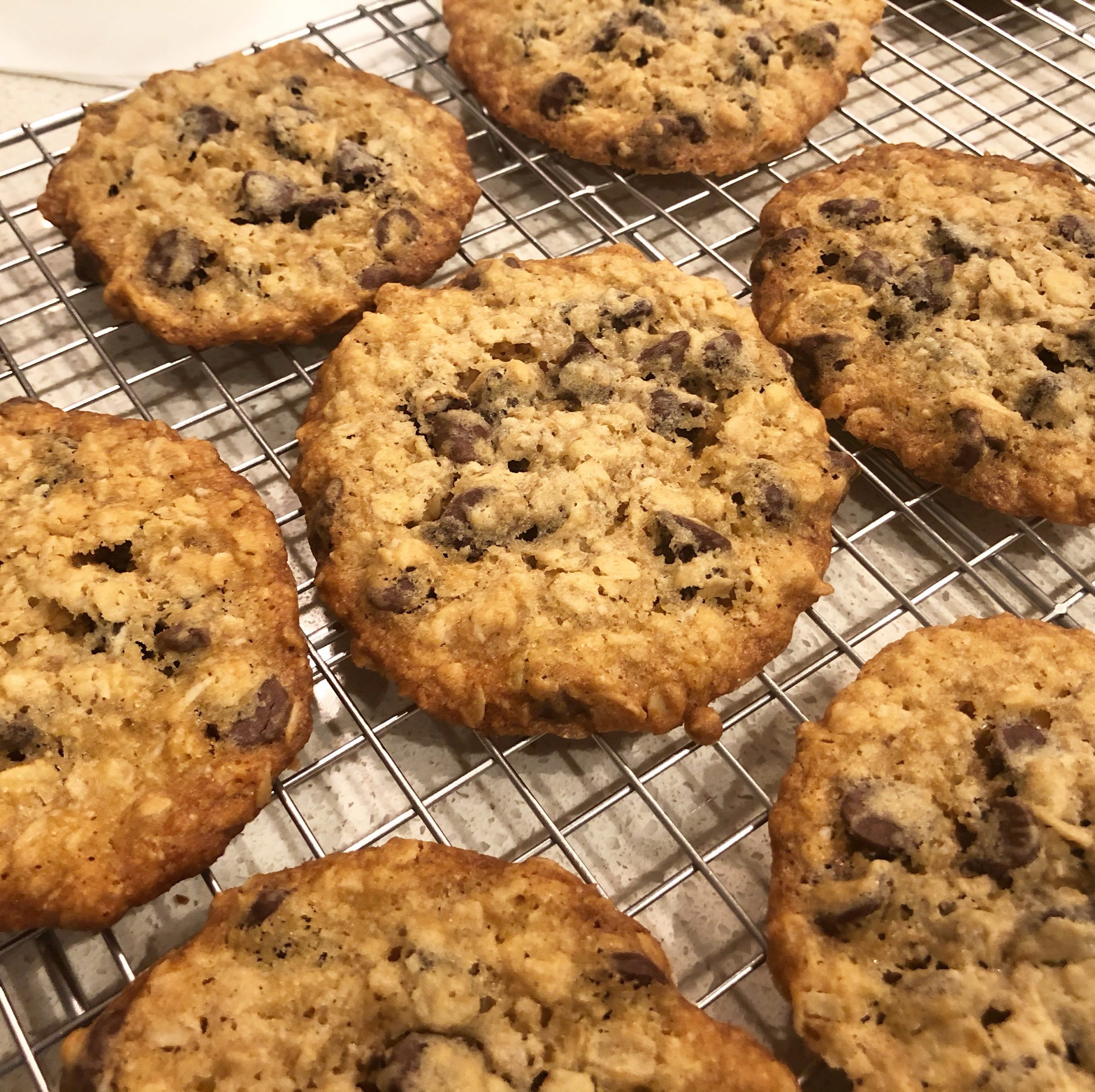 chasing James Beard Oatmeal Chocolate Chip Cookie