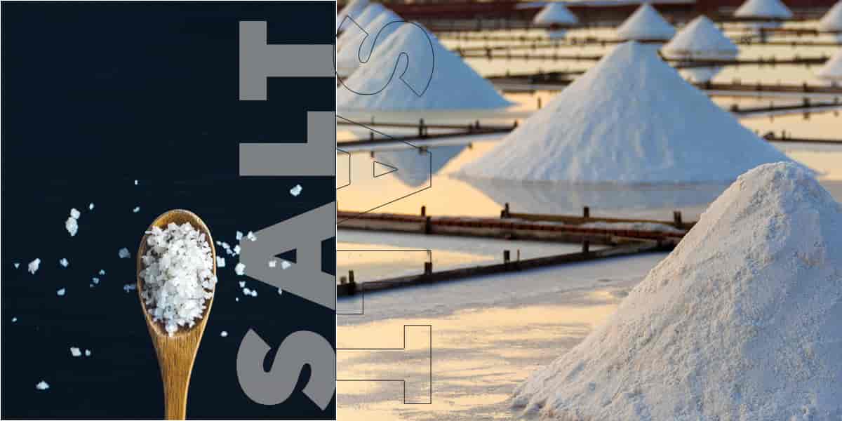 5 Types of Salt and How to Use Them in Your Meals - Healthy Smart Living