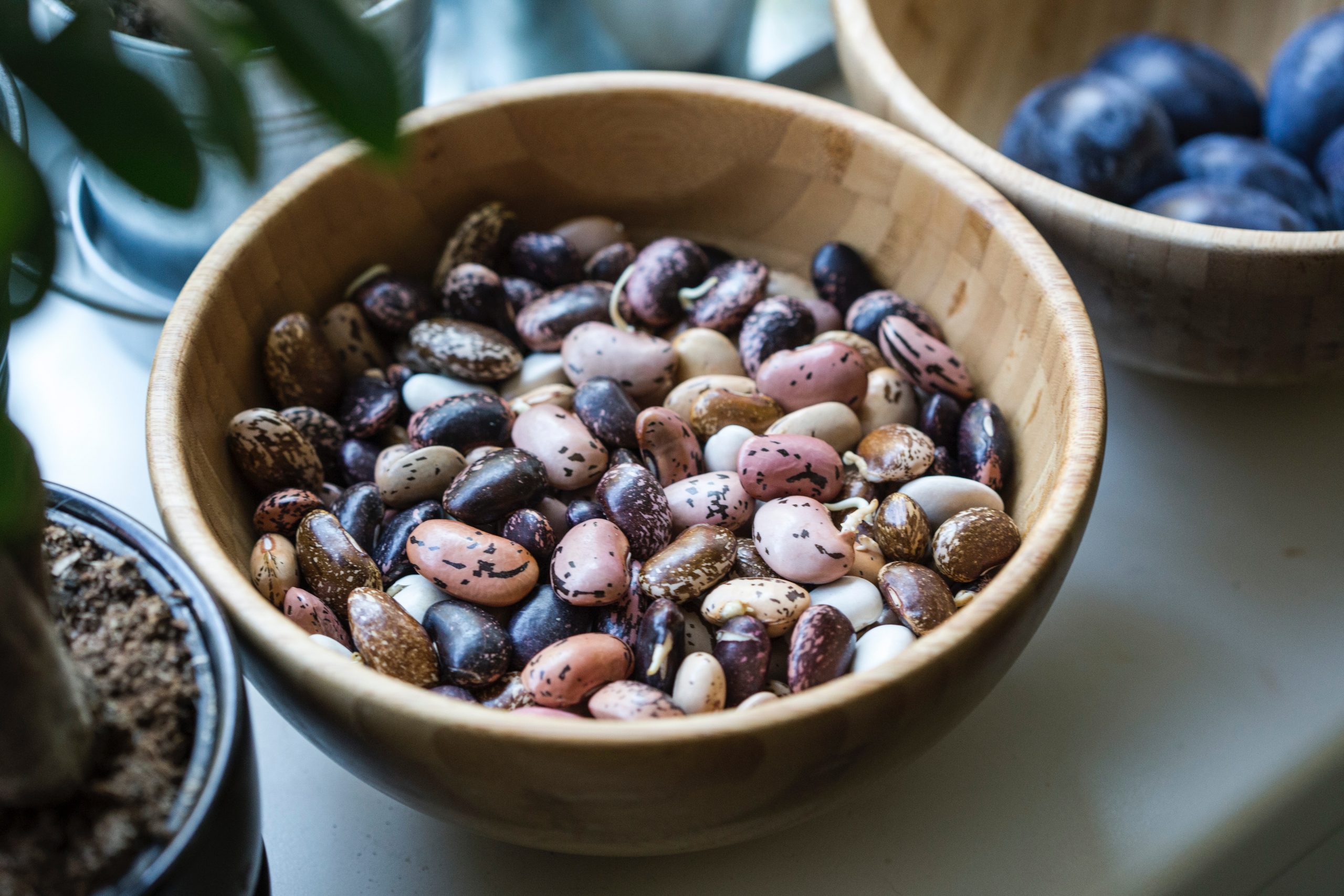 vegan lifestyle: Dried beans